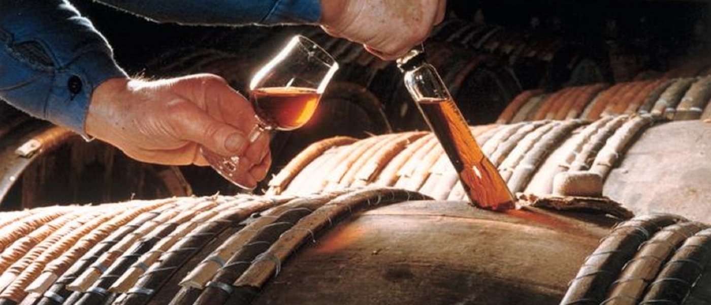 cognac tours - Wine Paths