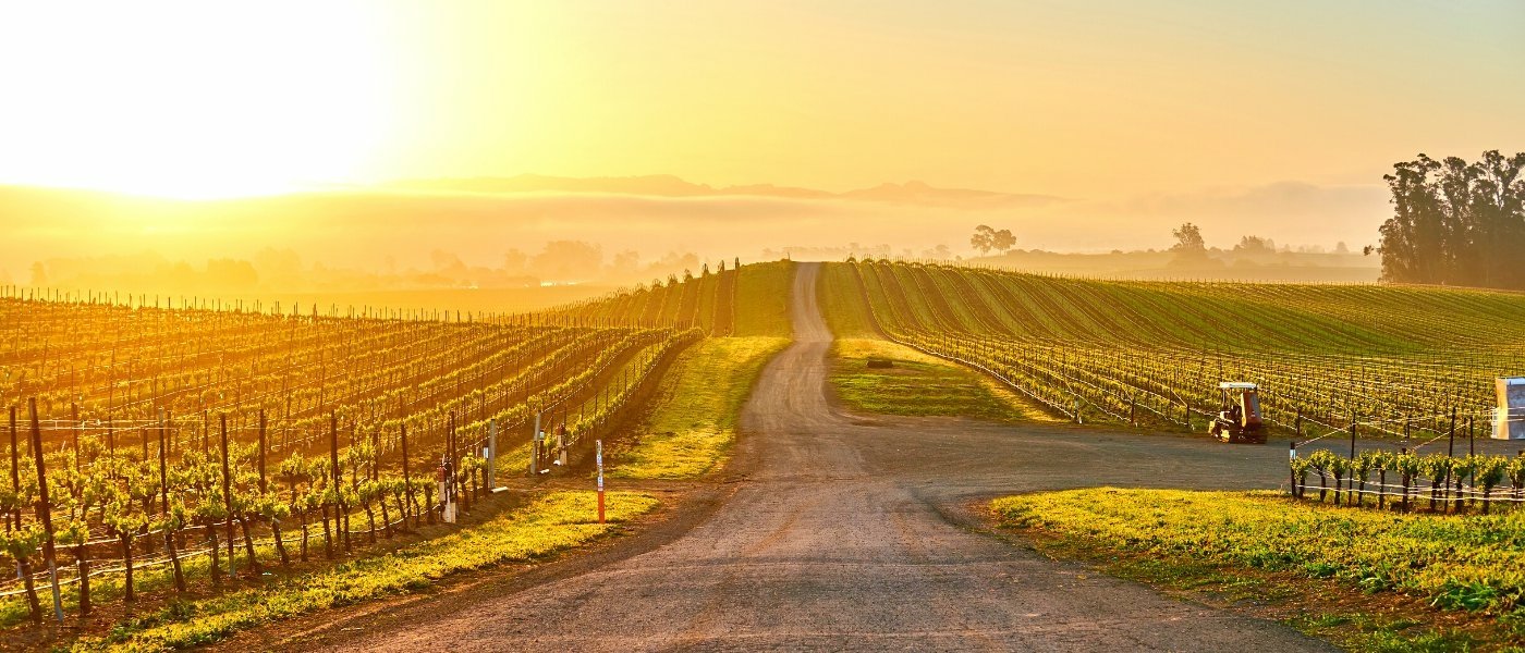 best wine tours in napa valley - Wine Paths