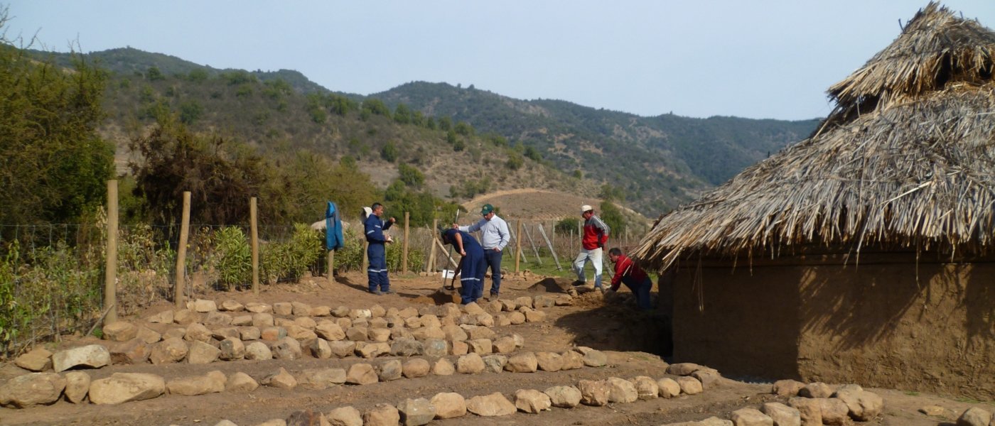 The biodynamic workshop