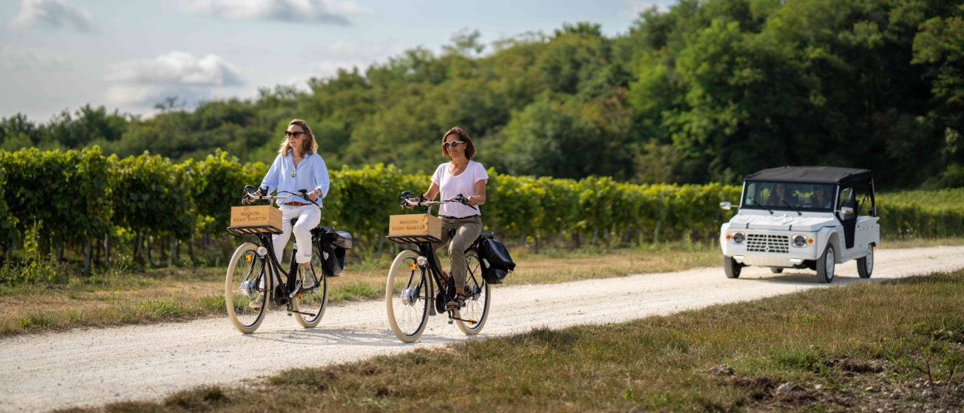 Rémy Martin Bike ride through the vineyard
