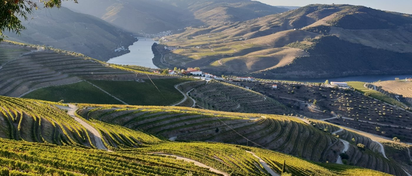 Douro Valley from London - Wine Paths