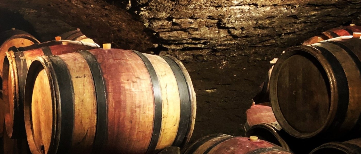 Wine cellar visit in the Côtes de Beaune
