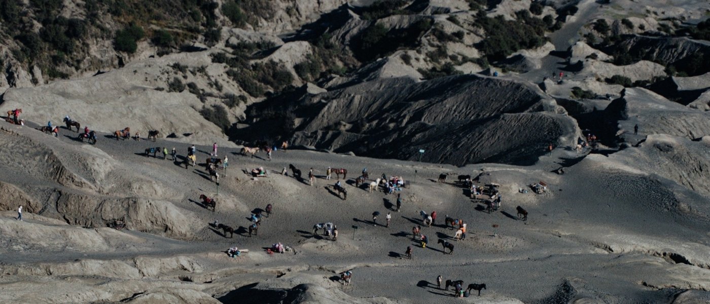 horse riding experience Sicily - Wine Paths