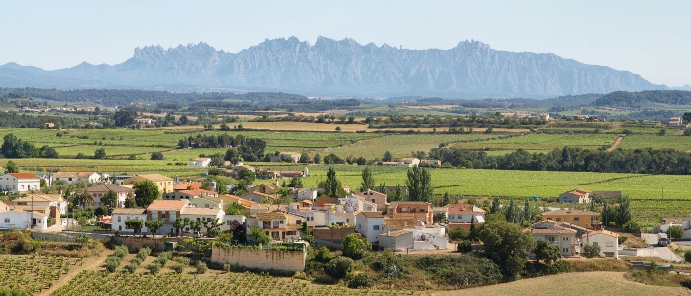 Local wine travel expert in Catalunya