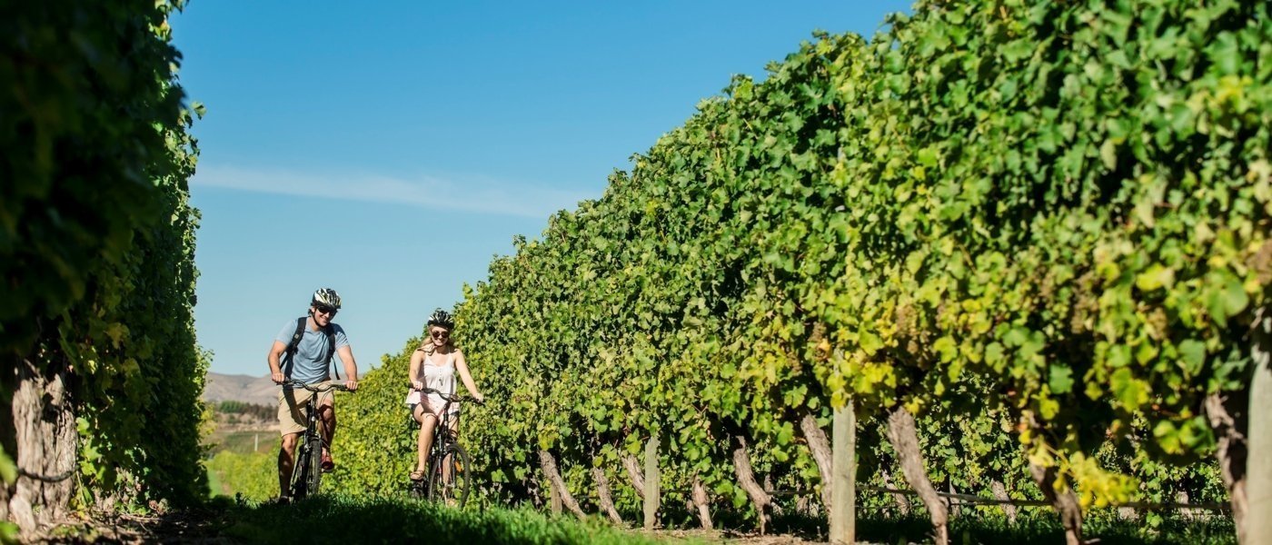 bespoke bike tours - Wine Paths