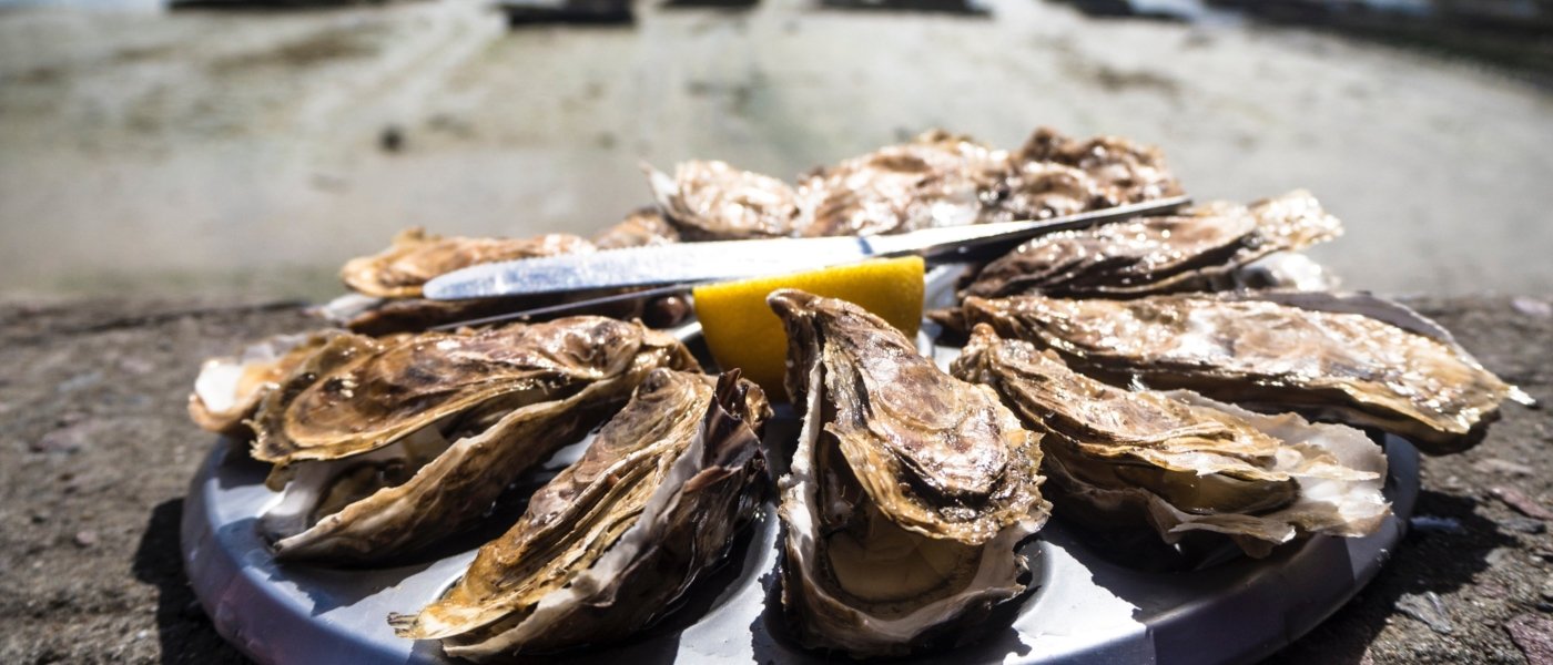 Bespoke Oyster Food in Ireland - Wine Paths