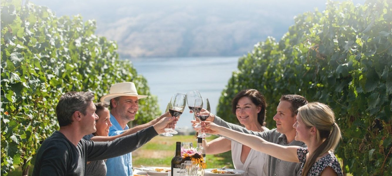 best wine tours in Europe - Wine Paths