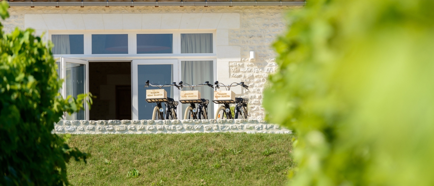 Rémy Martin From the vineyard to the distillery