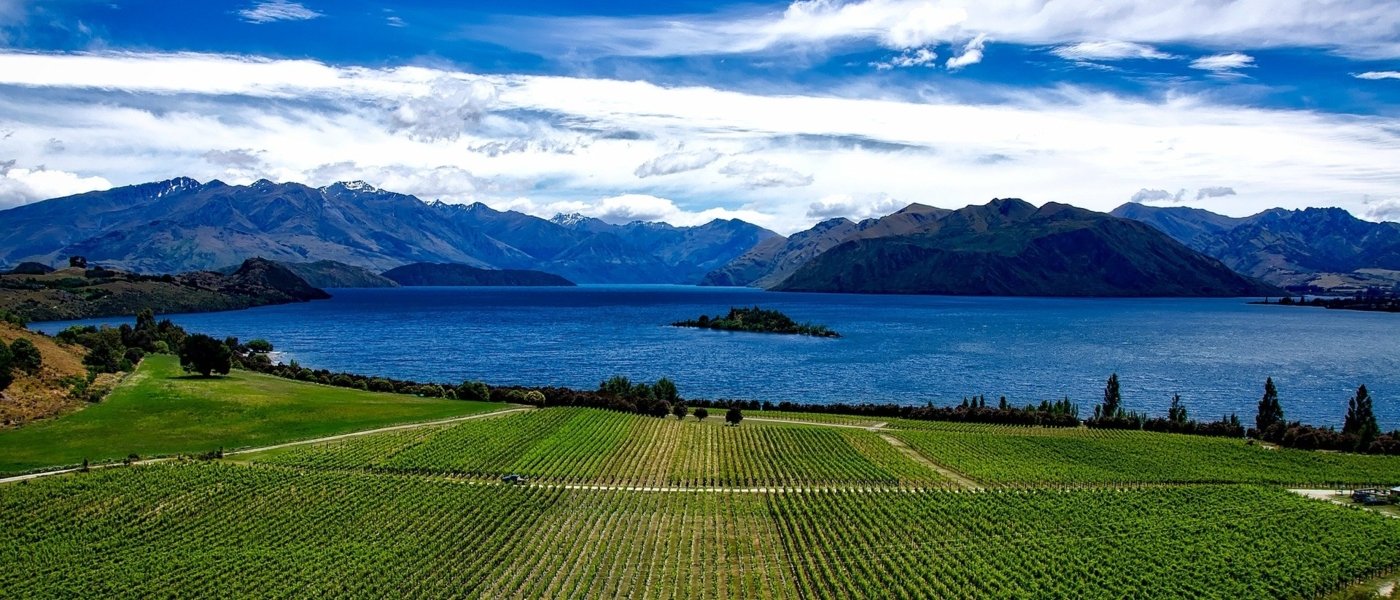 new zealand wine tours - Wine Paths