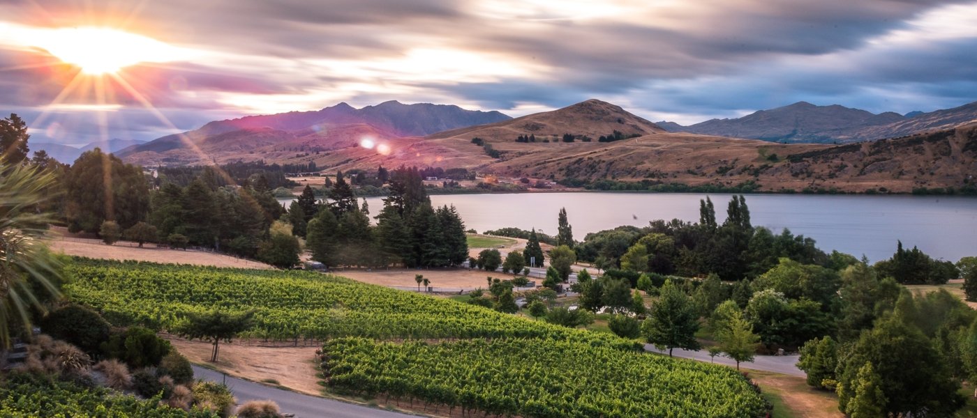 new zealand wine tours - Wine Paths