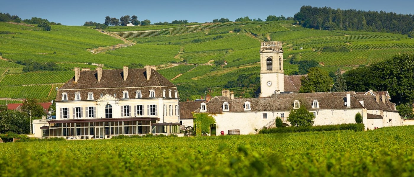 burgundy wine tours - Wine Paths