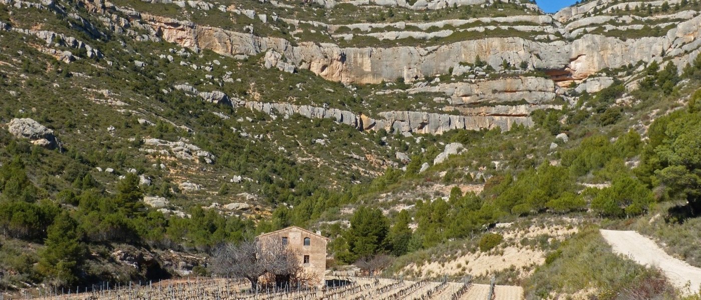 priorat landscape