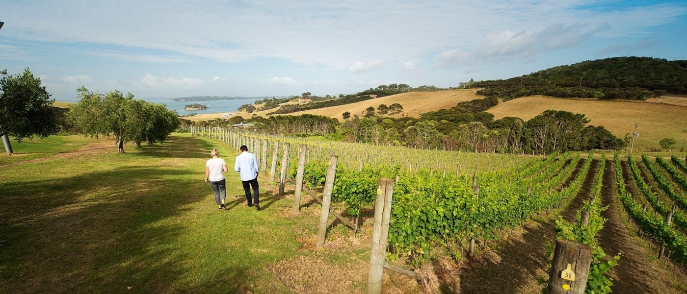 new zealand wine tours - Wine Paths