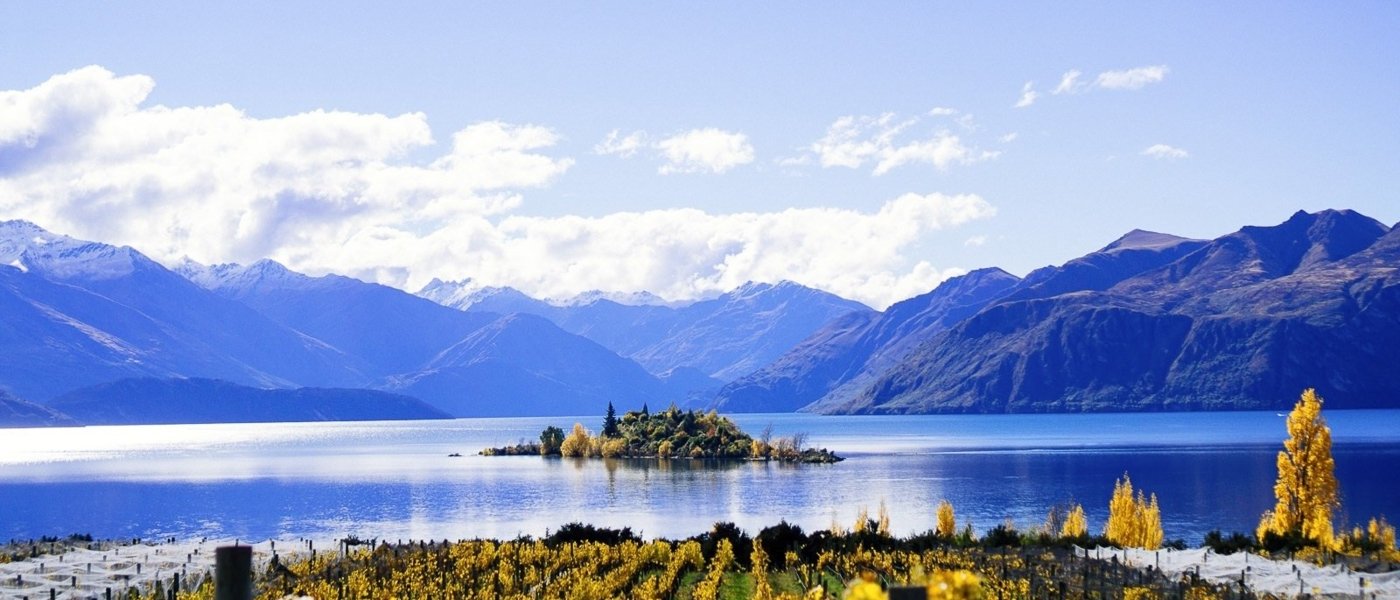 best wine tours in new zealand - Wine Paths