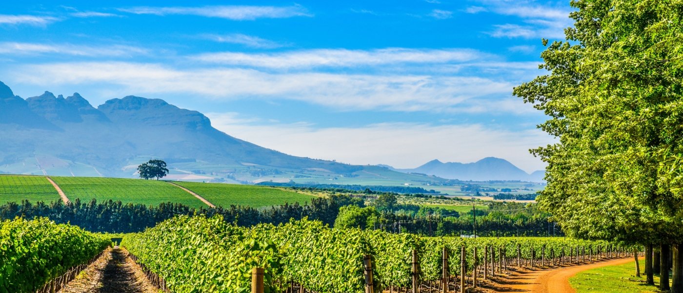 stellenbosch wine tours