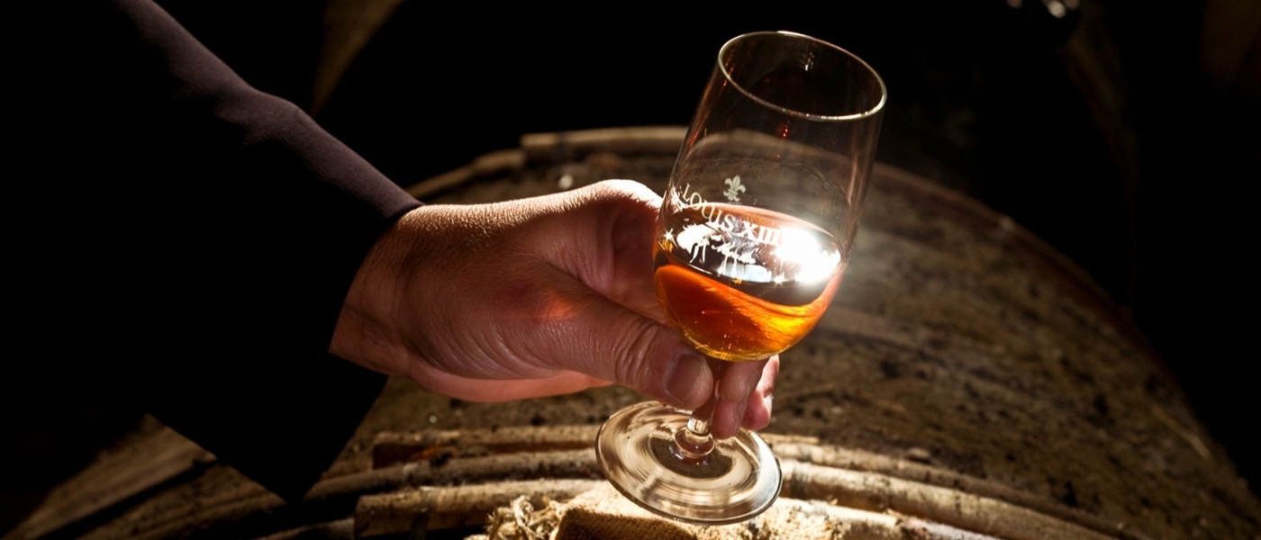 The Louis XIII Experience