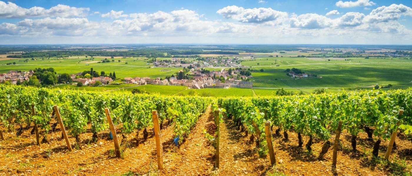 Luxury burgundy tours - Wine Paths