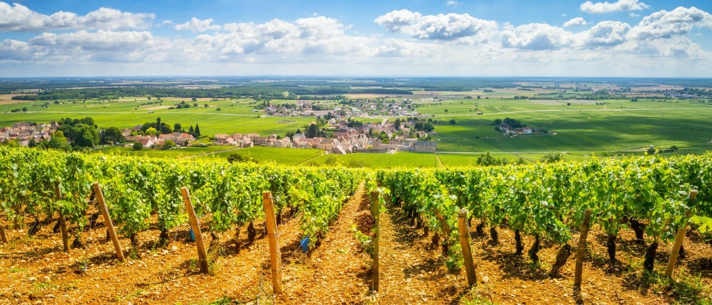 Wine Tours in Burgundy, France | Wine Tasting Holidays in Burgundy, France