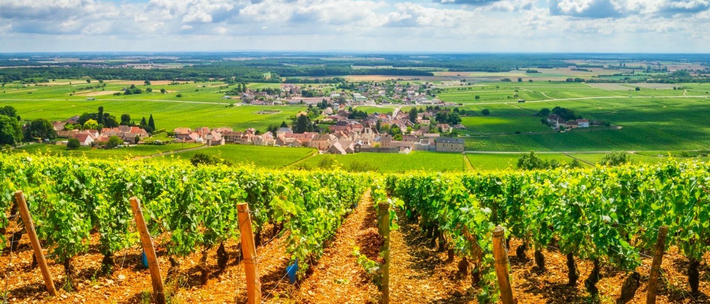 france wine tours - Wine Paths