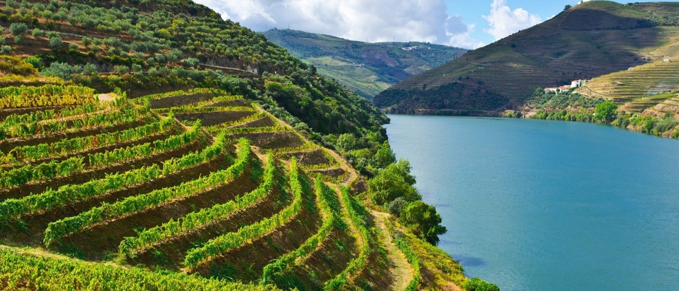 best wine tours in douro valley - Wine Paths