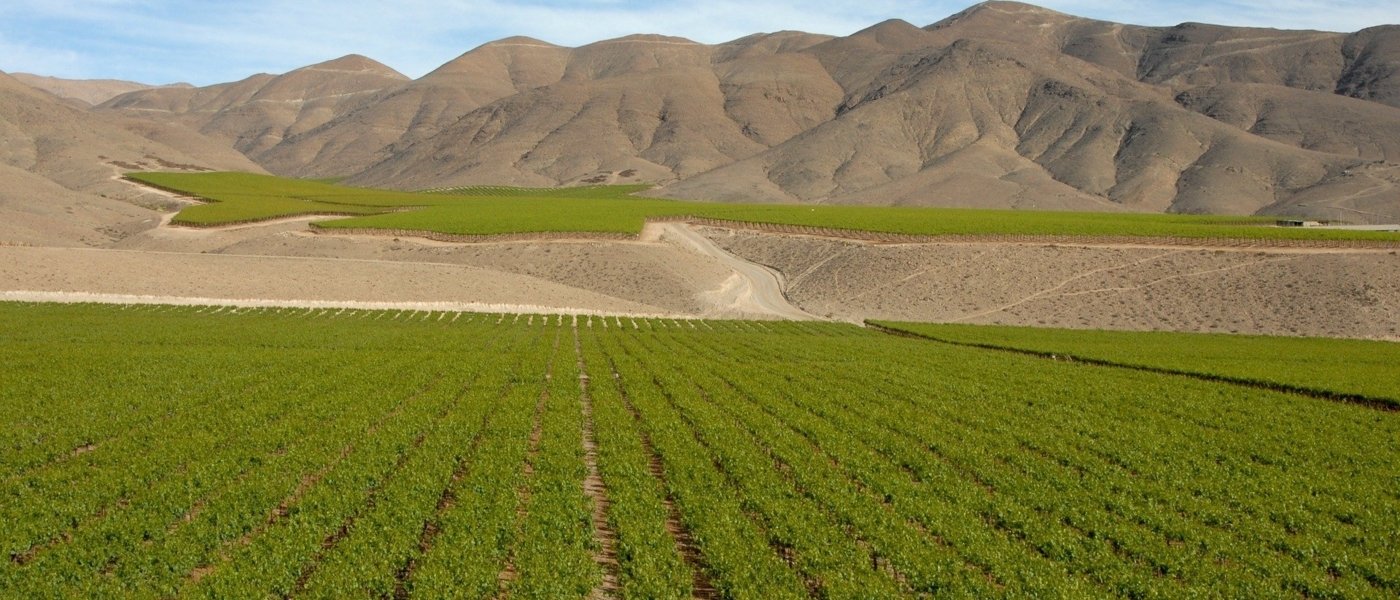 Chilean Andes - Wine Paths