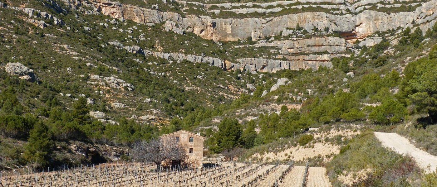 catalonia wine tours - Wine Paths