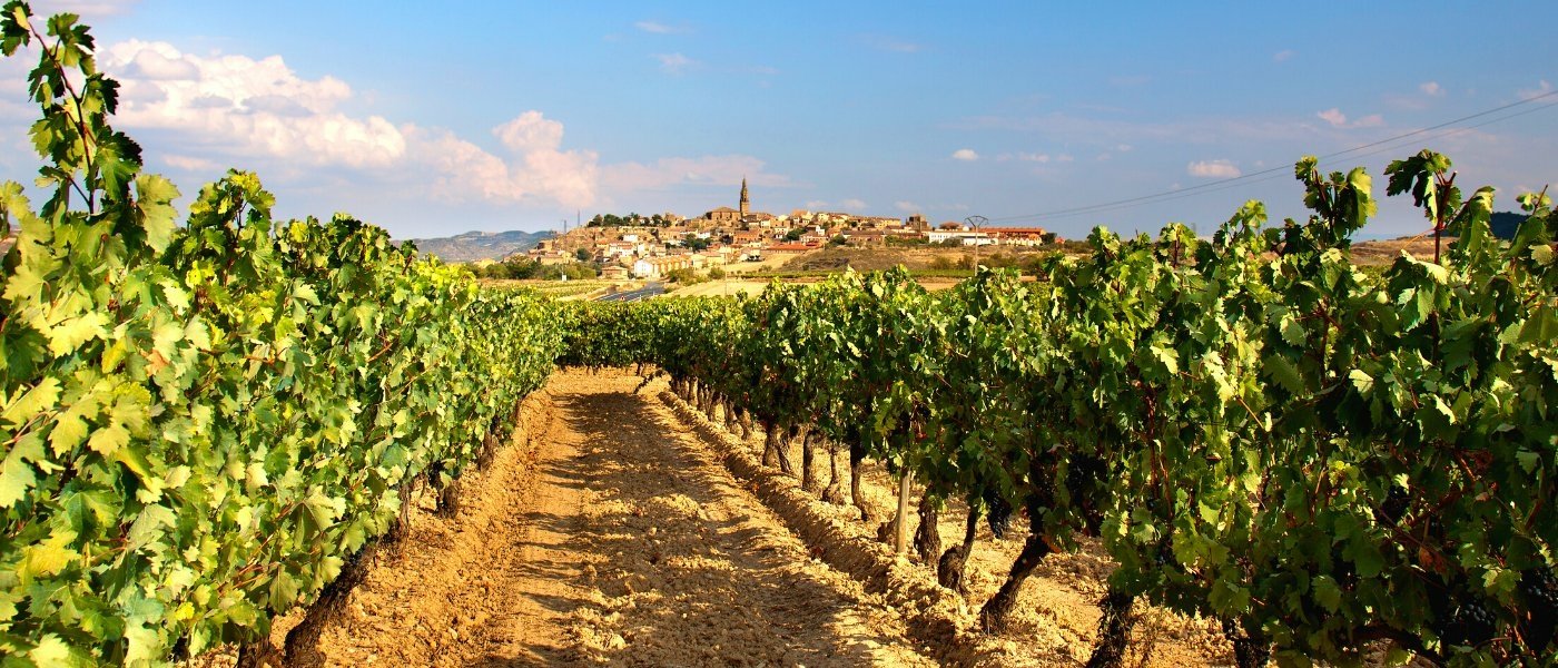La Rioja, Wine Paths Wine Tours