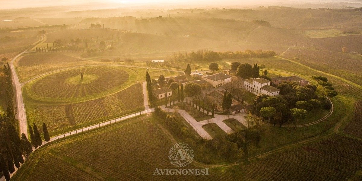 Avignonesi wine 2025