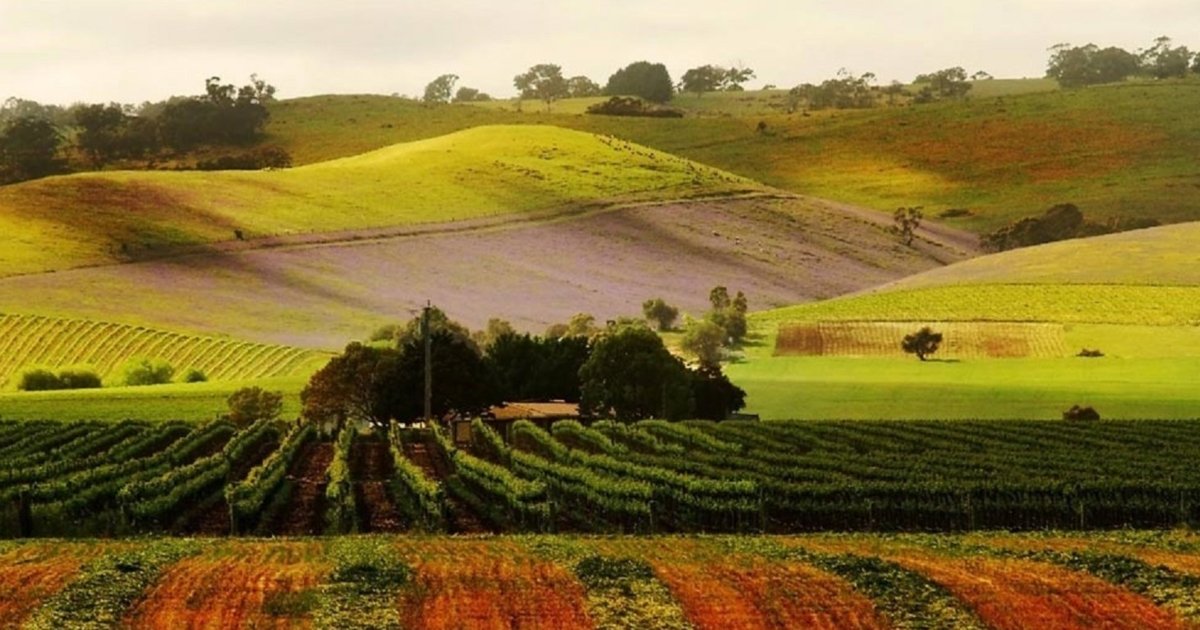 Barossa Valley