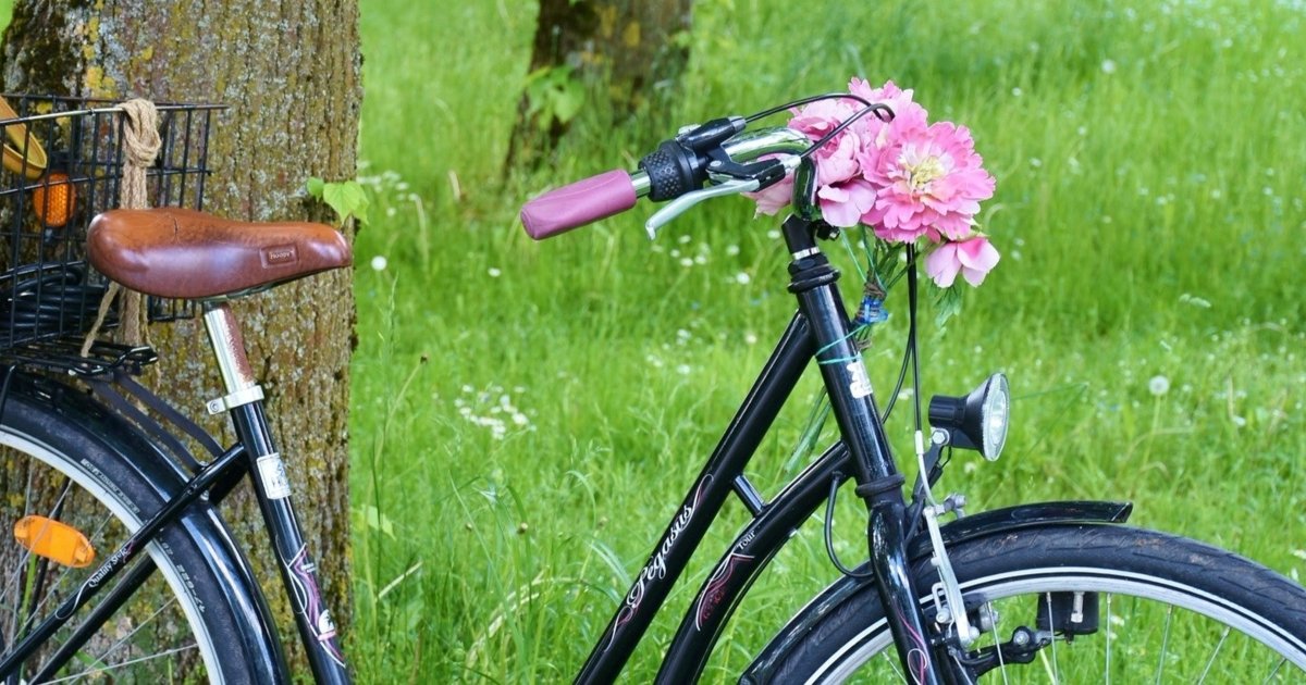 wine bike tour