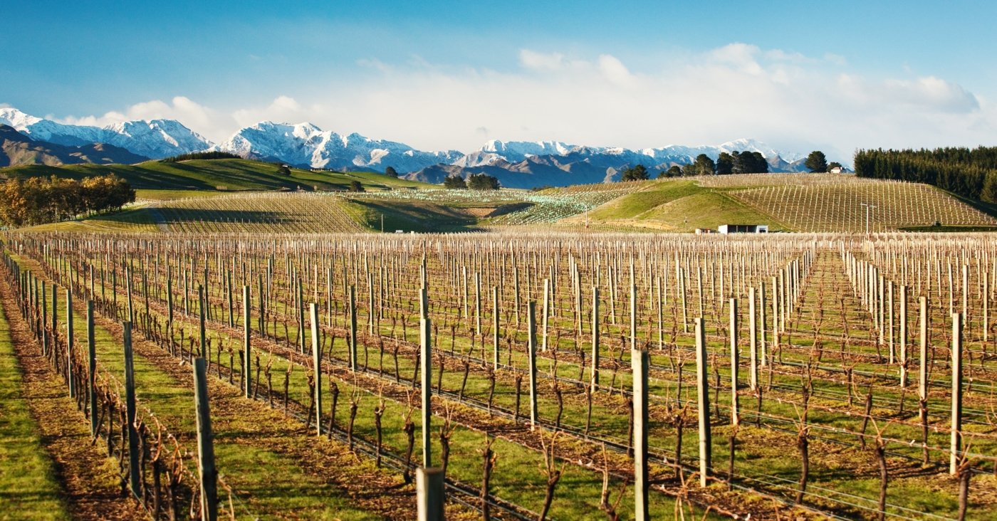New Zealand wine regions - Wine Paths