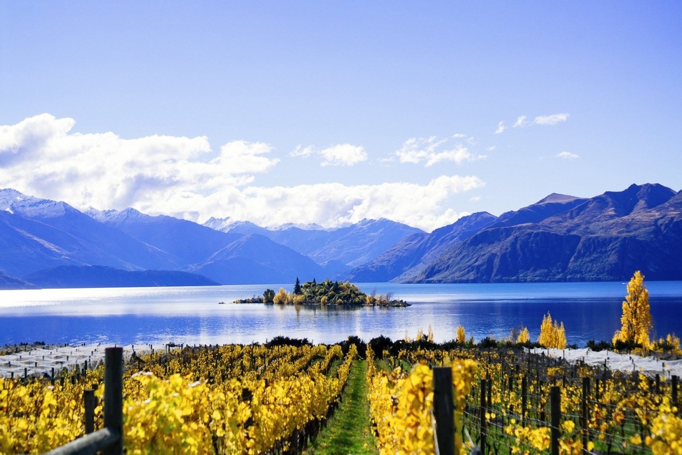 Central Otago Wine Region