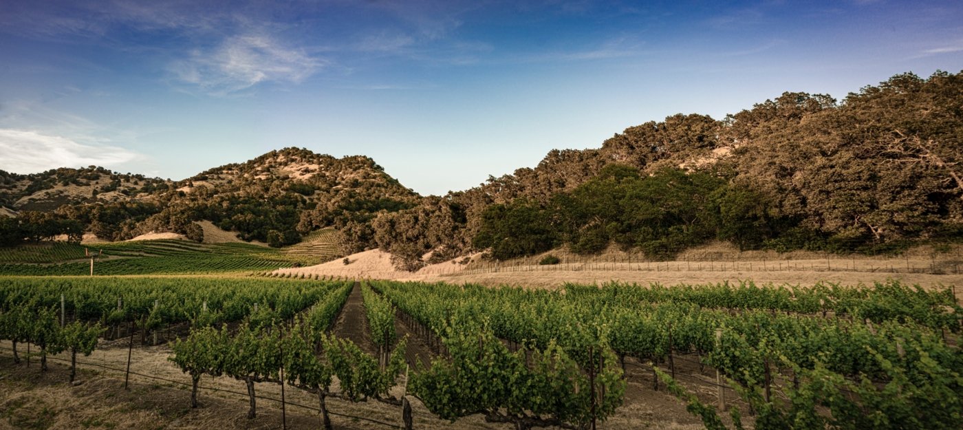 napa valley wine tastings - Wine Paths