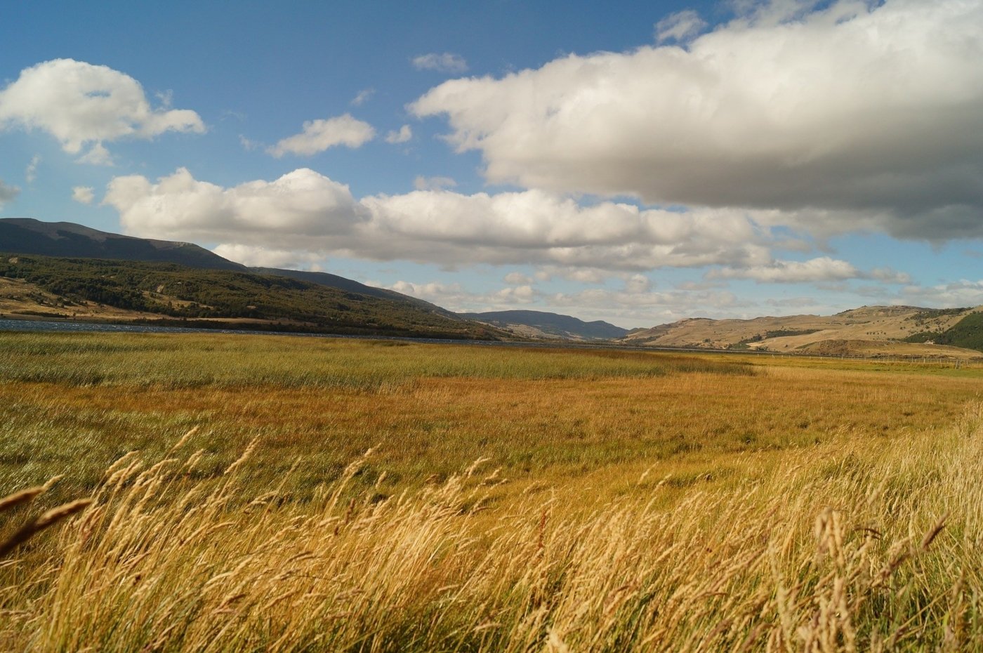 chile wine tours - Wine Paths