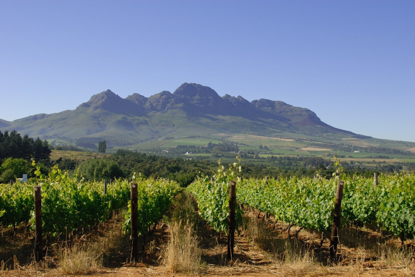 Wine route 2025