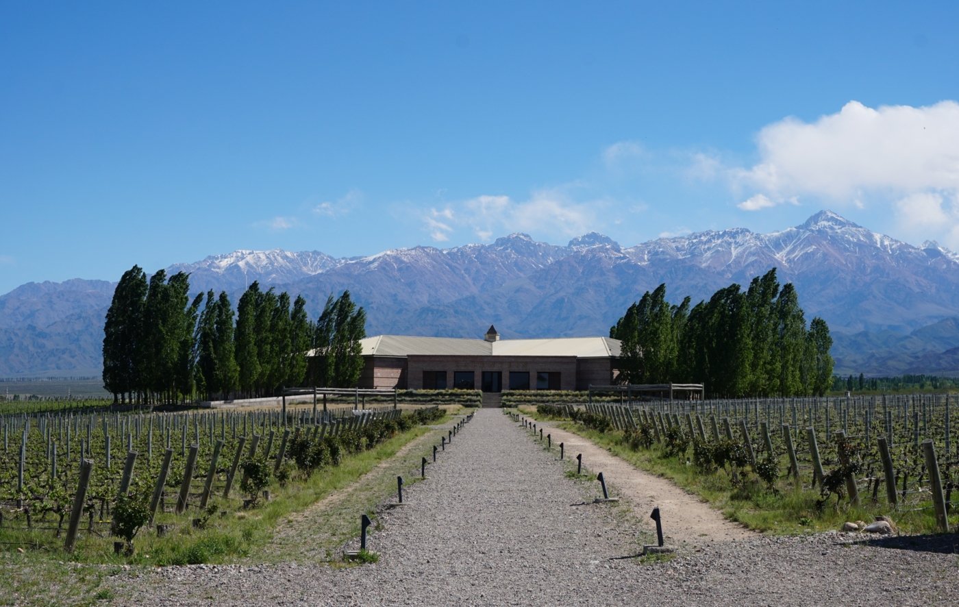 winery tours argentina - Wine Paths