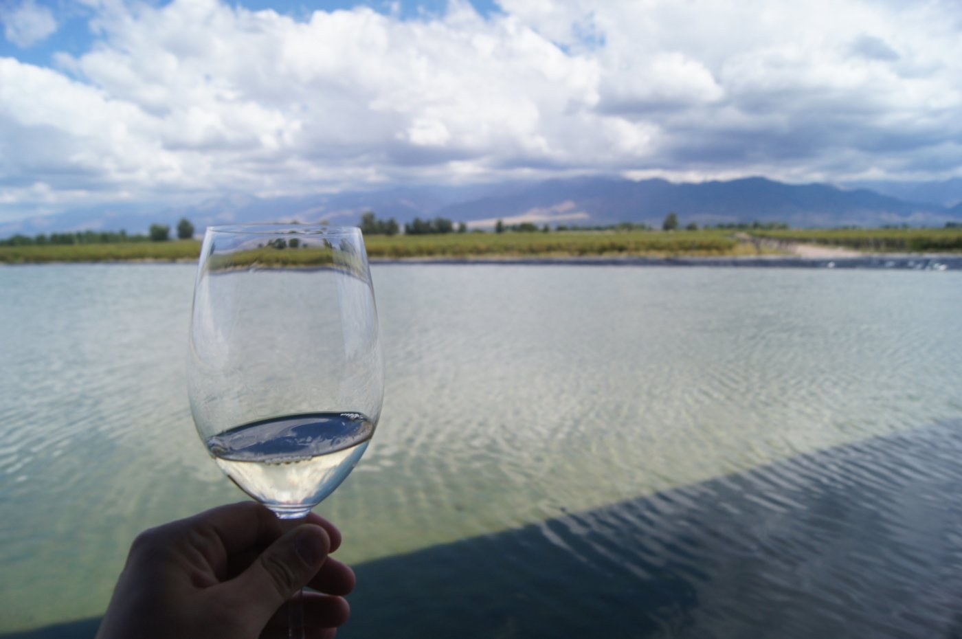 wine tastings mendoza - Wine Paths