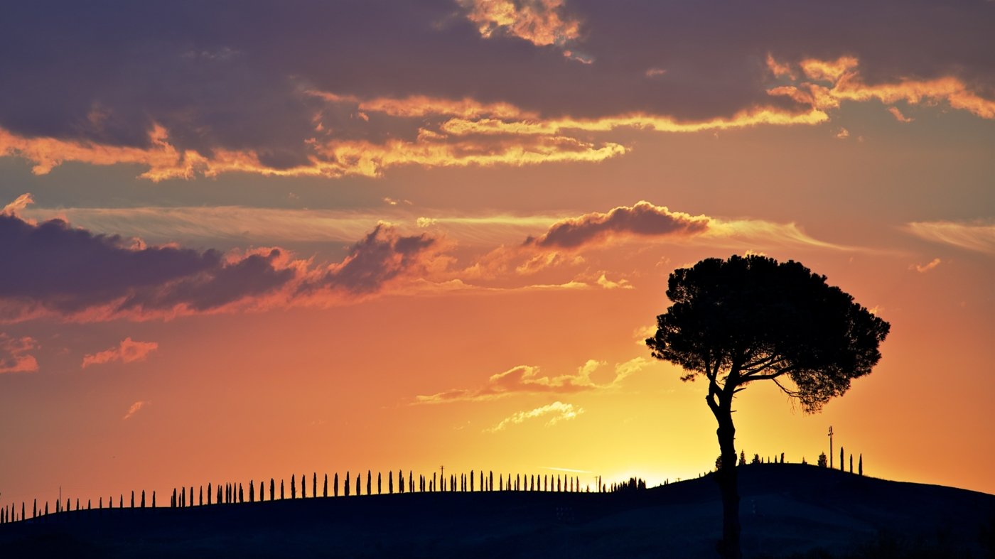 tuscany wine tourism - Wine Paths