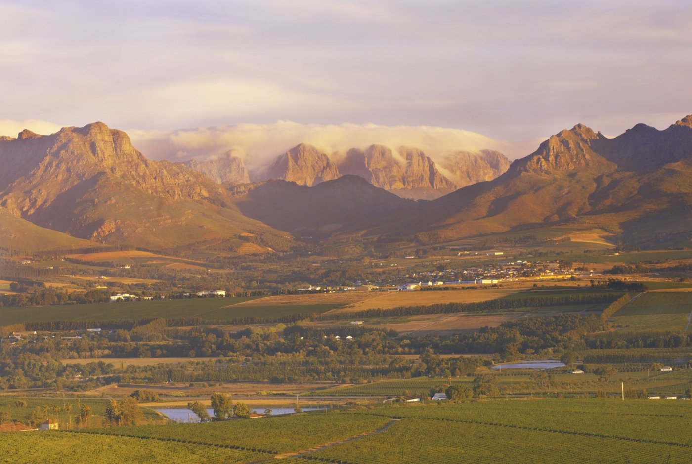 south africa wine tastings - Wine Paths