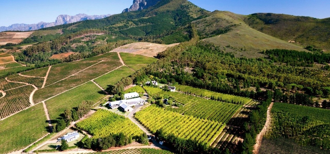 Visit Marianne Wine Estate In Stellenbosch Wine Paths