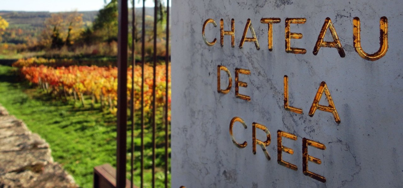 emblem and vineyards
