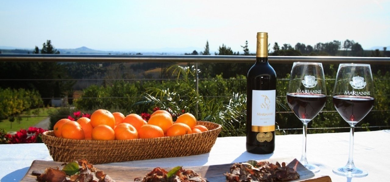 Breakfast behind vineyard