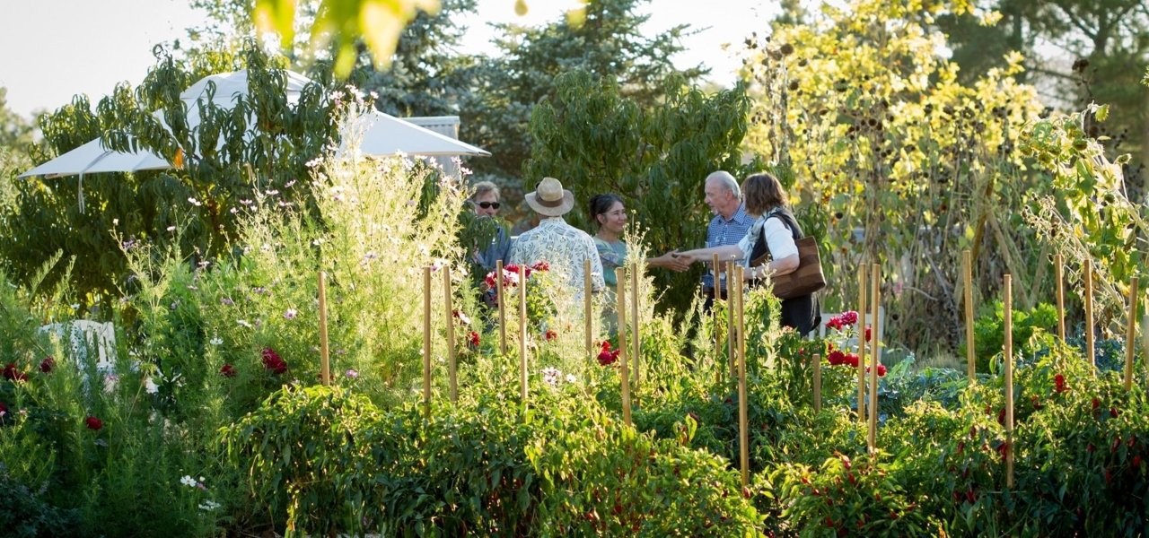 DeLoach Vineyards Garden