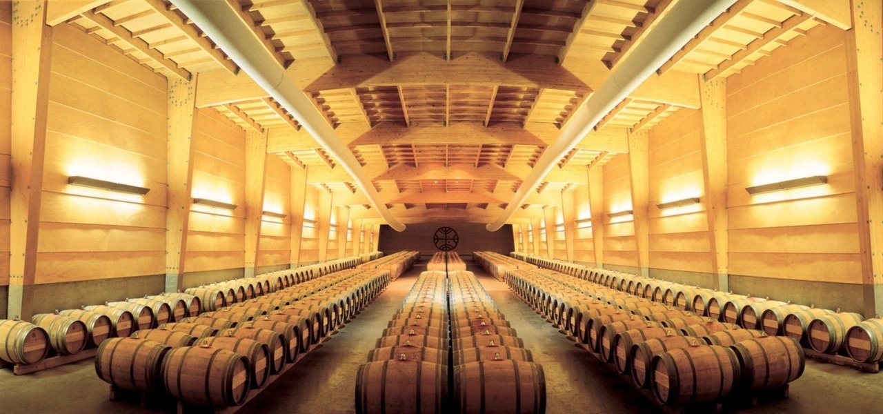 Exclusive wine tour at Almaviva