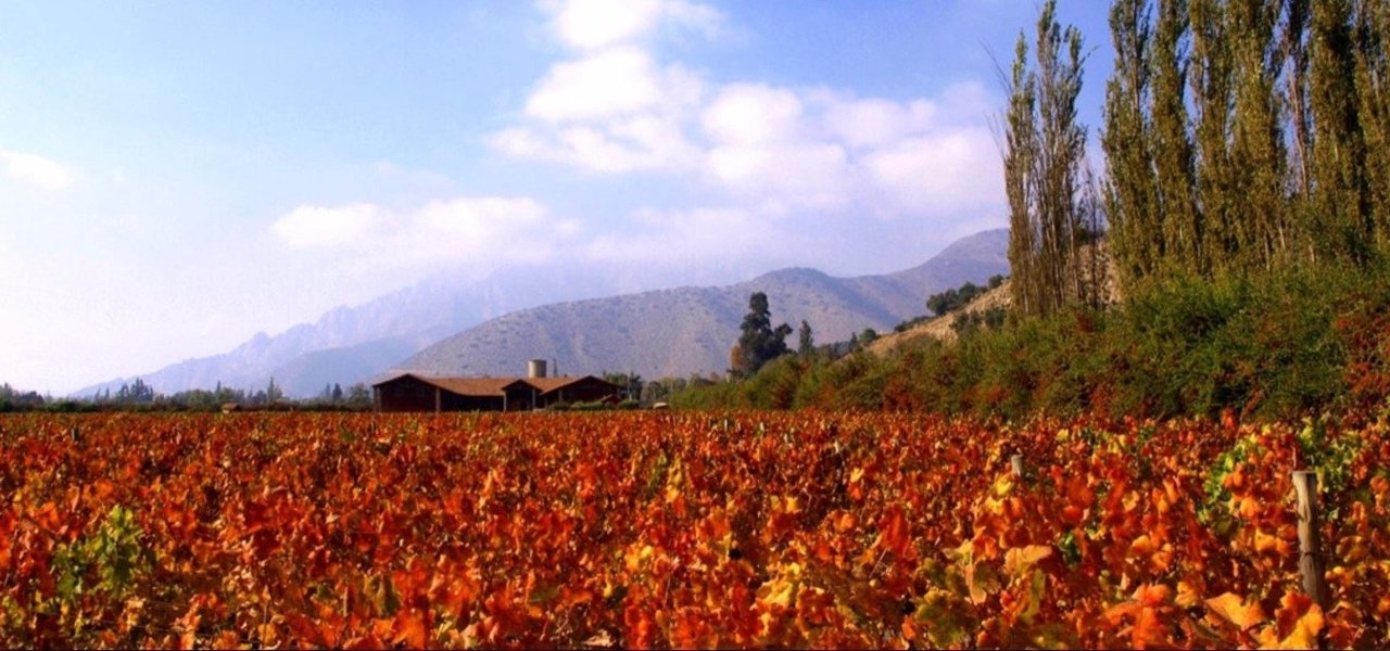 visit Viña von Siebenthal