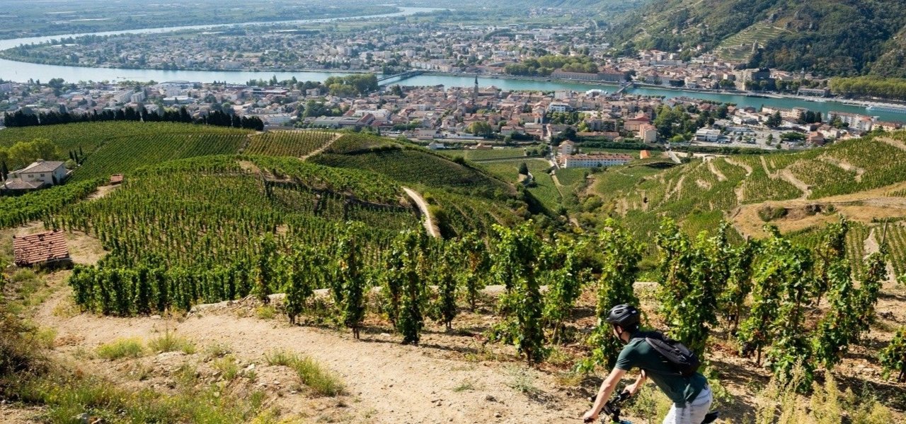Rhône Valley - Wine Paths