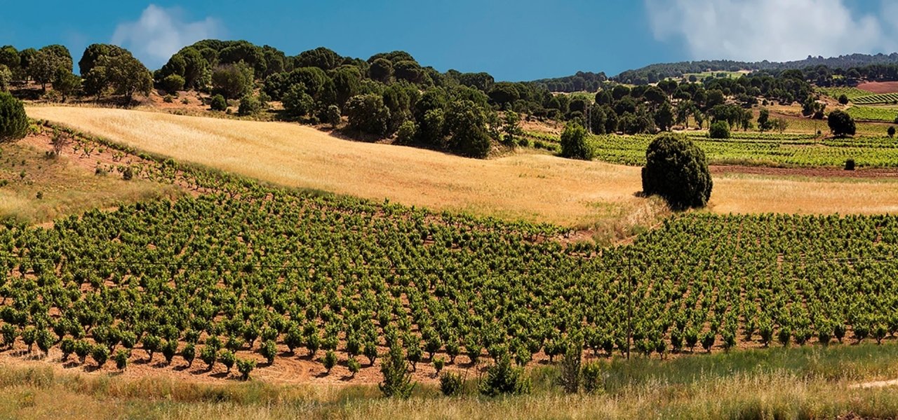 Guided Winery Tour At Dominio De Cair Wine Paths - 