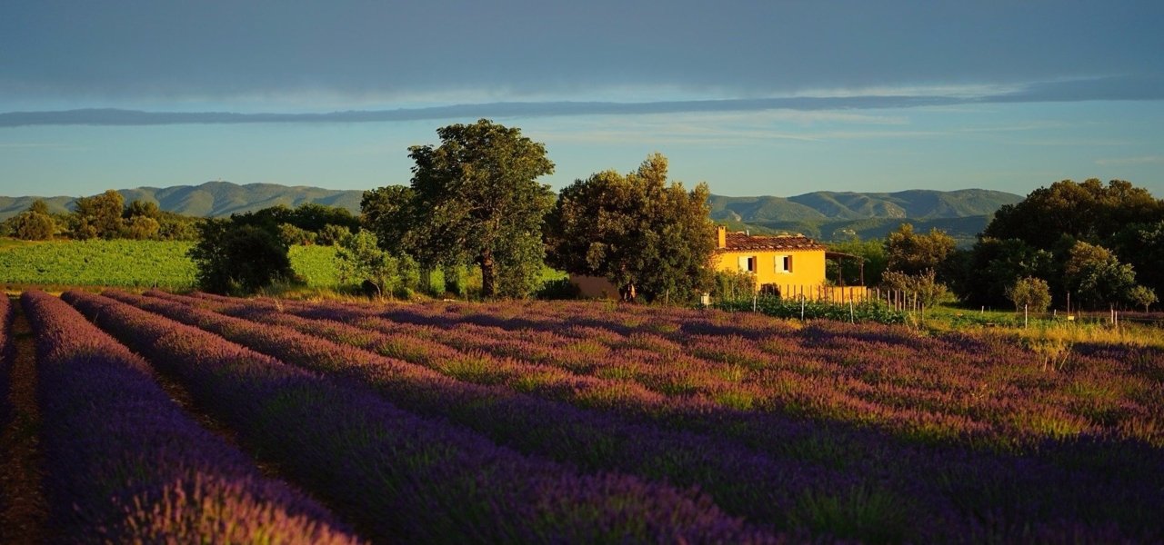 Bespoke winery tour and tasting in AixenProvence  Wine Paths