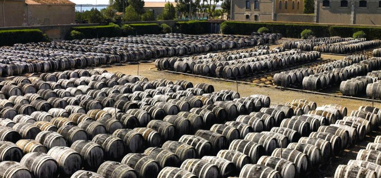 Noilly Prat - Wine Paths