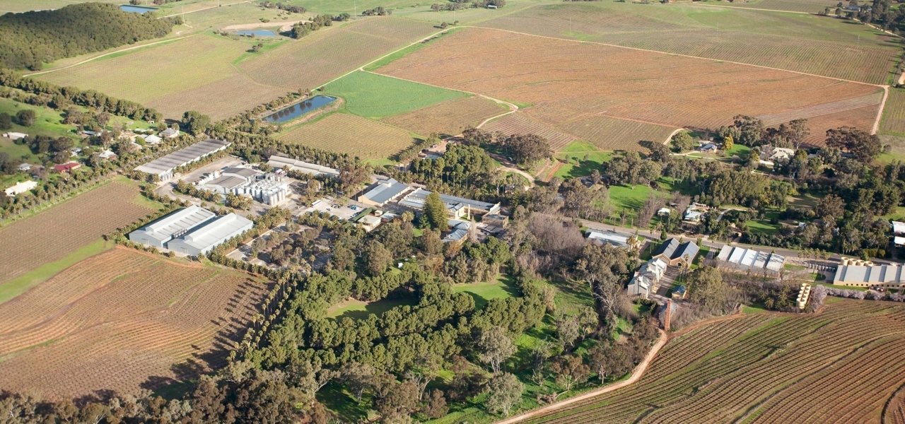 Aerial View of the Seppeltsfield Wine Estate